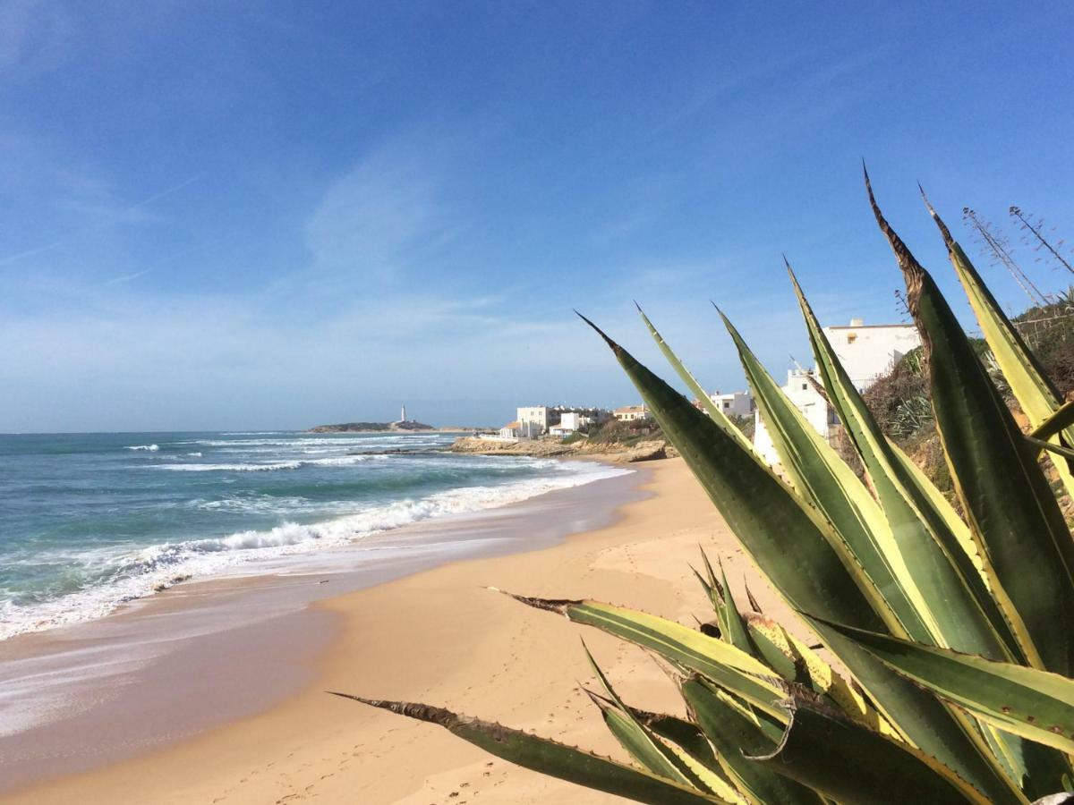 Atico Atlantico Con Aparcamiento Privado Lejlighed Vejer de la Frontera Eksteriør billede